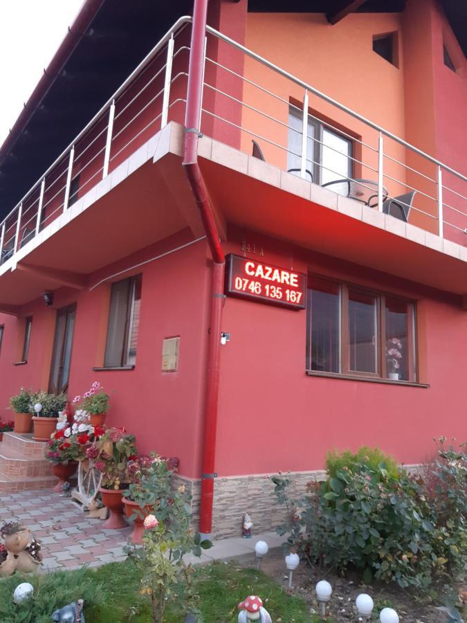 Vila Georgeta Zărneşti المظهر الخارجي الصورة