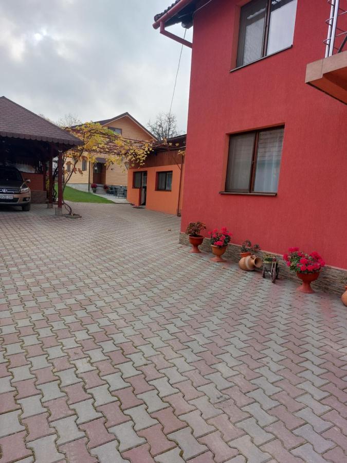Vila Georgeta Zărneşti المظهر الخارجي الصورة
