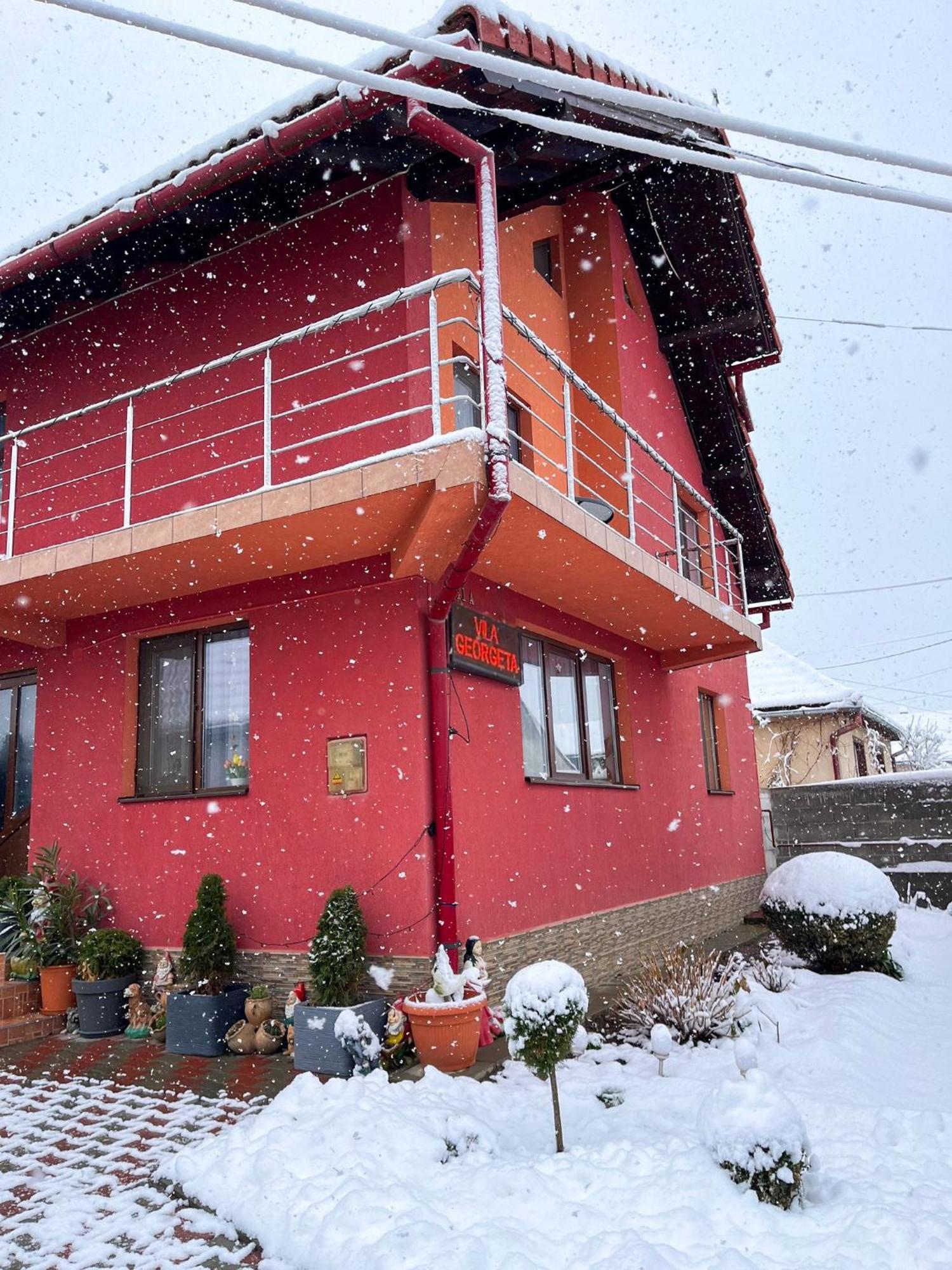 Vila Georgeta Zărneşti المظهر الخارجي الصورة